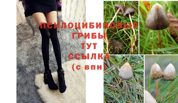 амф Горнозаводск
