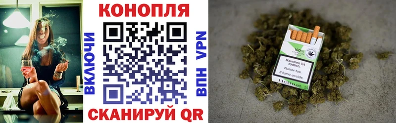 сколько стоит  Енисейск  darknet формула  Шишки марихуана планчик 